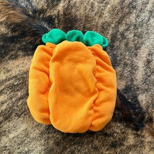 Pumpkin dog costume